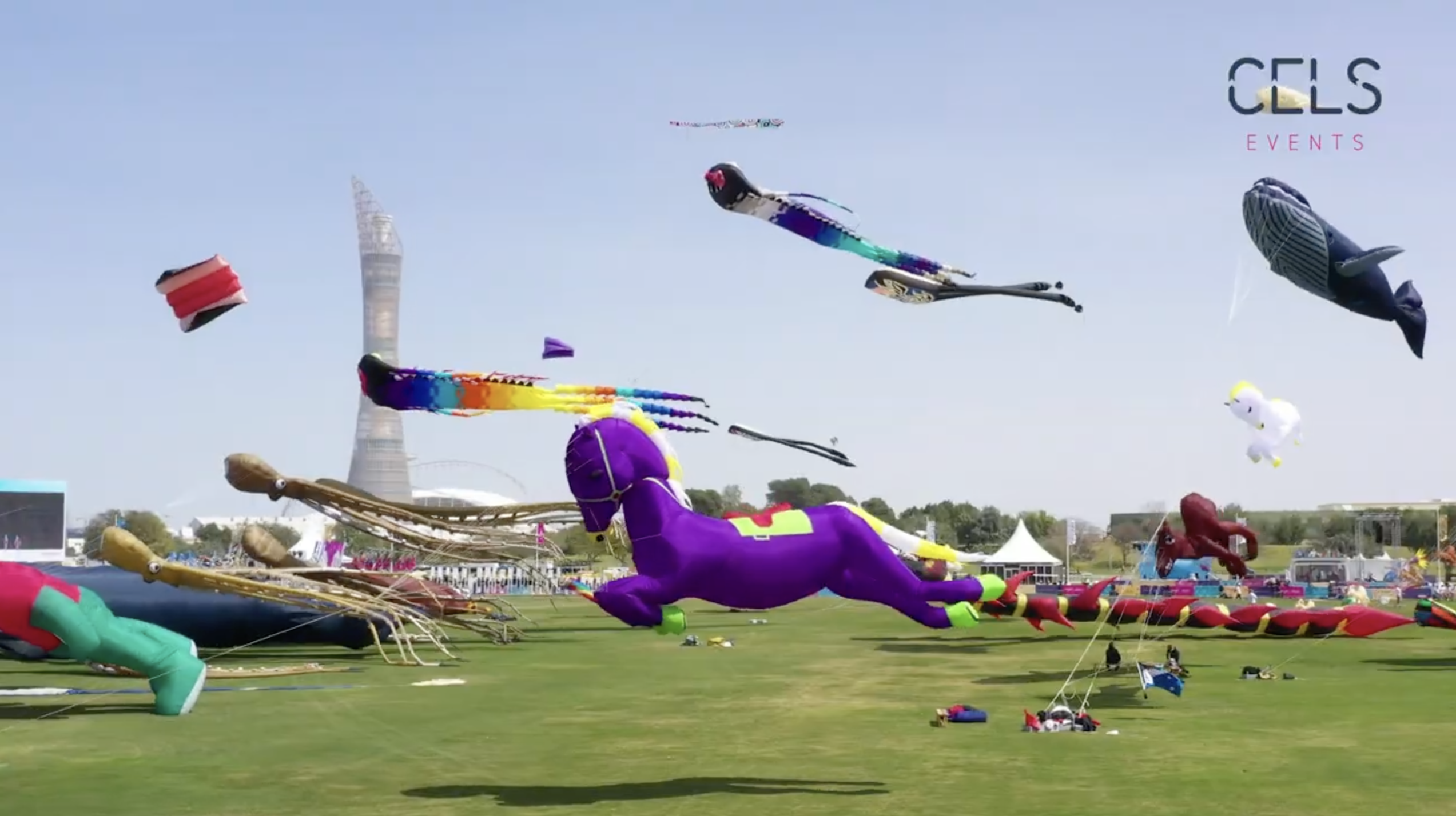Aspire International Kite Festivals